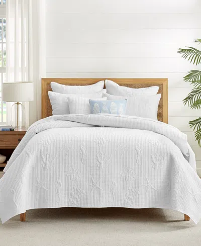 Levtex Cross Stitch Sea Textured 2-pc. Quilt Set, Twin/twin Xl