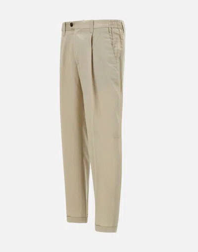 Devore Pleated-front Trousers In Neutral