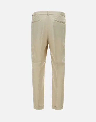 Devore Pleated-front Trousers In Neutral