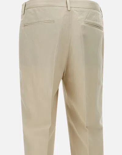Devore Pleated-front Trousers In Neutral