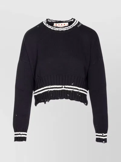 Marni Roundneck Crewneck Crop Distressed Ribbed Contrast In Black