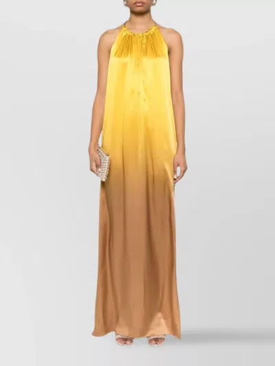 Max Mara Halter Neckline Backless Dress In Multi