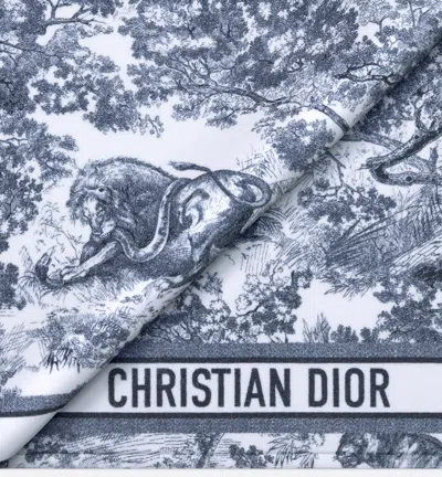 Dior Iviera Toiledejouysauvage Hooded Poncho