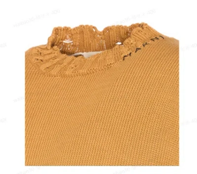 Marni Distressed Long Sleeve Ruffled Neckline Sweater