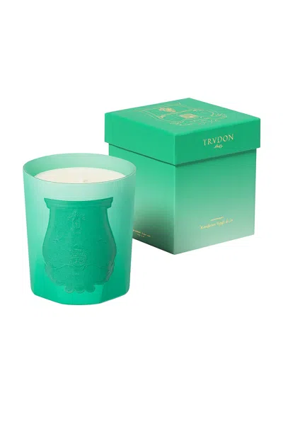 Trudon Under The Trees Candle