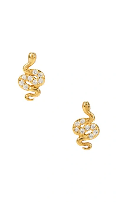 Mazin Jewels Mini Vermeil Snake Studs