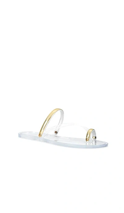 Steve Madden Fuze Flat