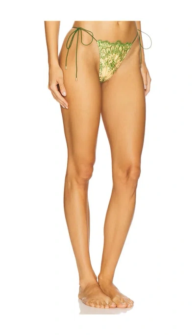 Bananhot Nina Bikini Bottom In Multi