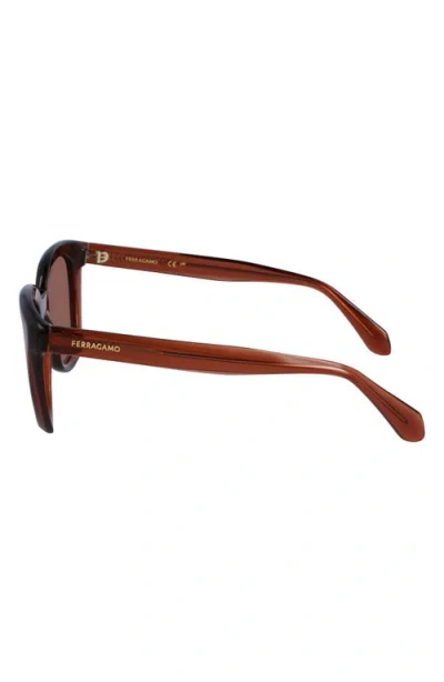 Ferragamo Classic Logo Tea Cup 52mm Round Sunglasses