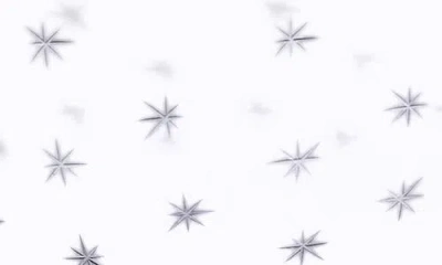 The Vintage List Star Set Of 6 Champagne Glasses