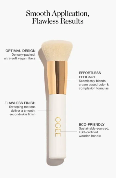 Ogee The Blender Brush