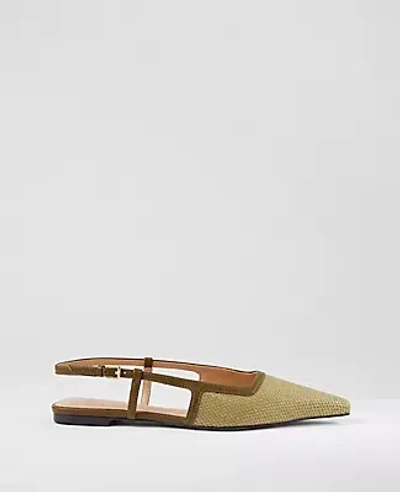 Ann Taylor Straw Nip Toe Slingback Flat
