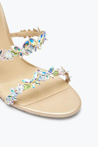 René Caovilla Flat Sandal Rene Caovilla Woman Color Pink In Multi