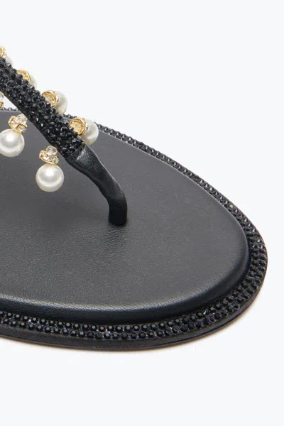 René Caovilla Rene Caovilla Diana Pearls Sandals In Black