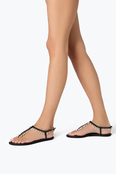 René Caovilla Rene Caovilla Diana Pearls Sandals In Black