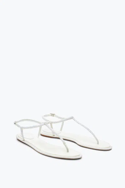 René Caovilla Amalia Embellished Thong Sandals In Silver