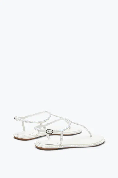 René Caovilla Amalia Embellished Thong Sandals In Silver