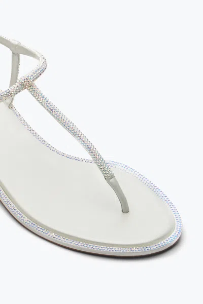 René Caovilla Amalia Embellished Thong Sandals In Silver