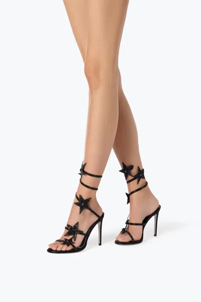 René Caovilla Cleo Star Black Sandal 105