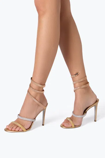 René Caovilla Trigold Cleo Sandals In Gold