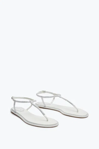 René Caovilla Amalia Embellished Thong Sandals
