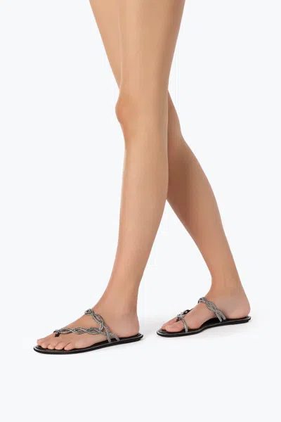 René Caovilla Rene Caovilla Black Flat Braid Sandal 10
