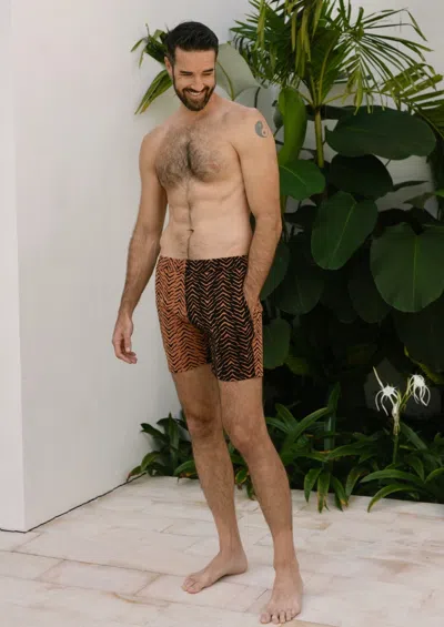 Jmp The Label Breakers Elastic Waist Men's Short - Tiger Switch Print In Brown