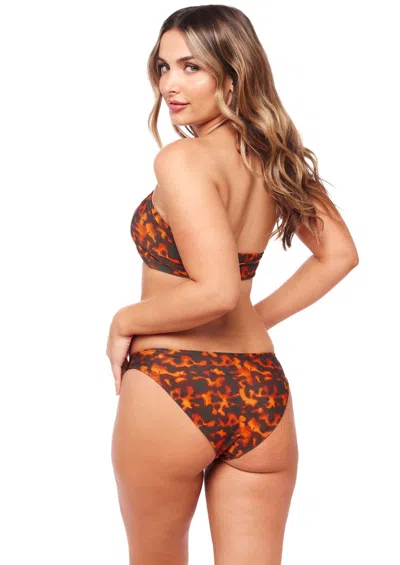 Jmp The Label Cayman Bottom - Tortuga In Brown