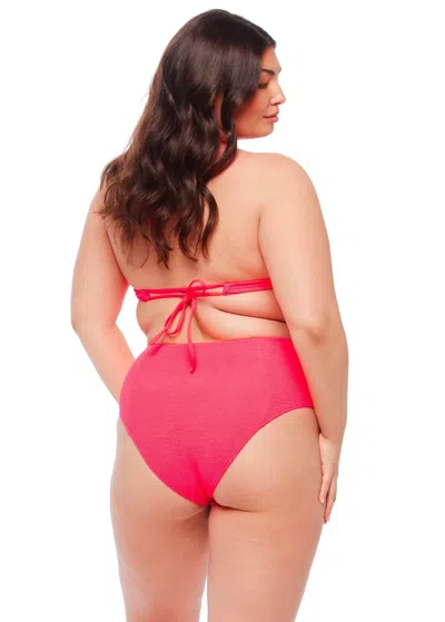 Jmp The Label Laguna High Waist Bikini Bottom - Zinnia Pink In Orange