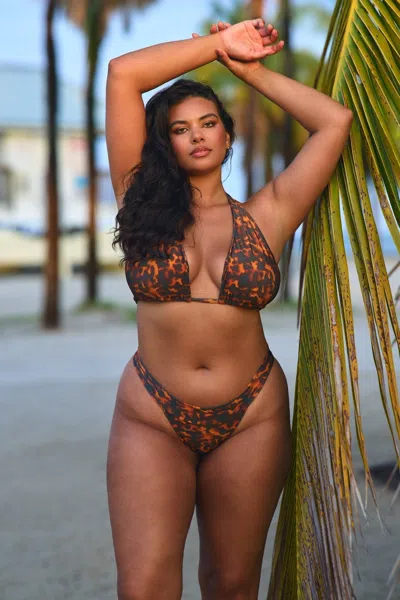 Jmp The Label London Bottom - Tortuga In Brown