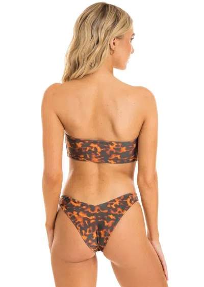 Jmp The Label Rio Bottom - Tortuga In Brown