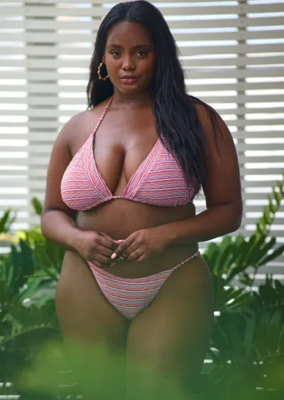 Jmp The Label Rosarito Top - Fiesta In Multi