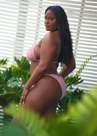 Jmp The Label Rosarito Top - Fiesta In Multi