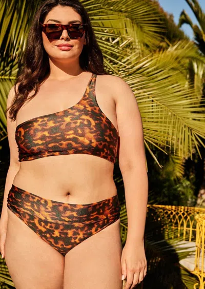 Jmp The Label Sydney Bottom - Tortuga In Brown