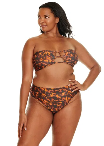 Jmp The Label Sydney Bottom - Tortuga In Brown