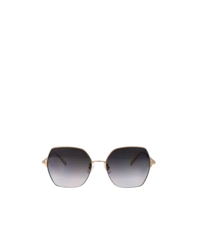 Chopard Gold Titanium Sunglasses In Black
