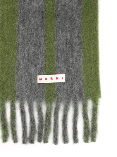Marni Soft Fringed Striped Scarf In Gray