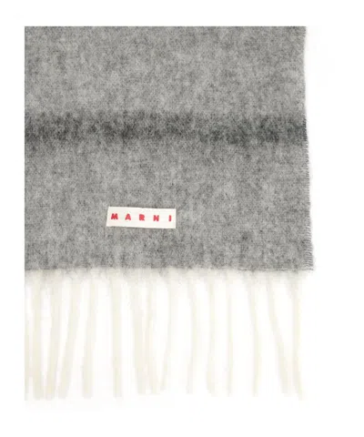 Marni Long Color-block Scarf With Fringed Ends In White