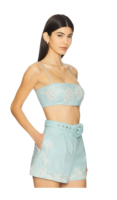 Hemant & Nandita X Revolve Bandeau