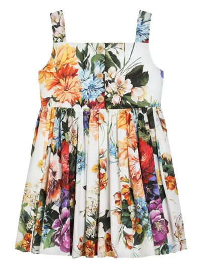 Dolce & Gabbana Flower-print Poplin Dress In Multi