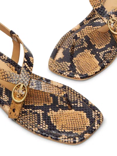 Stuart Weitzman Benni Sandalen Aus Leder Mit Schlangeneffekt In Multi