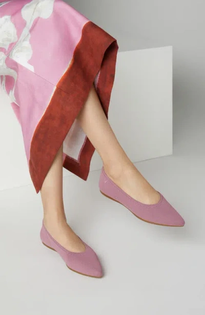 Vivaia Pointed-toe Ballet Flats