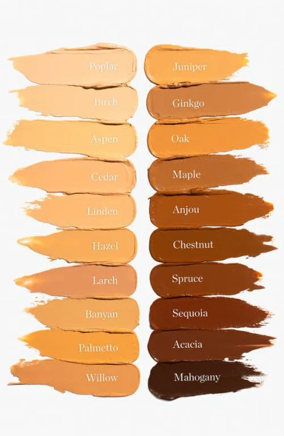 Ogee Sculpted Complexion Stick