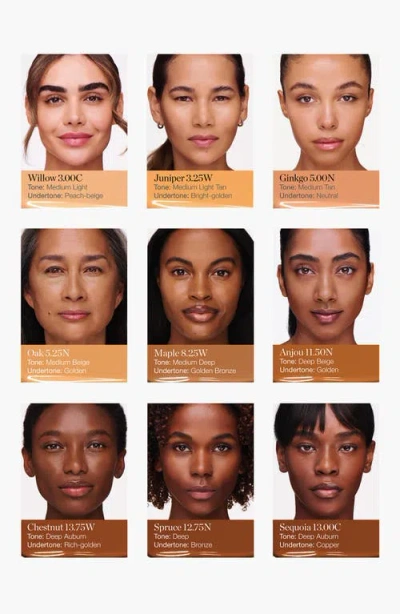 Ogee Complexion Perfecting Tinted Serum Foundation