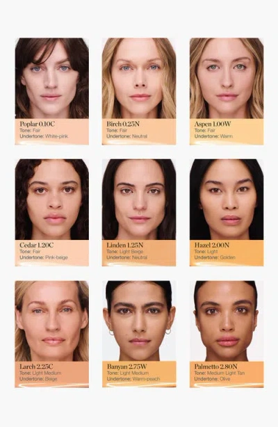 Ogee Complexion Perfecting Tinted Serum Foundation