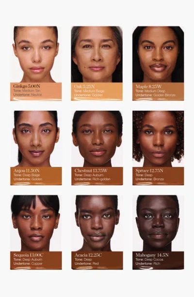 Ogee Complexion Perfecting Tinted Serum Foundation