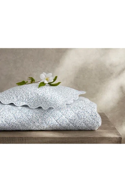 Matouk Celine 500 Thread Count Percale Fitted Sheet