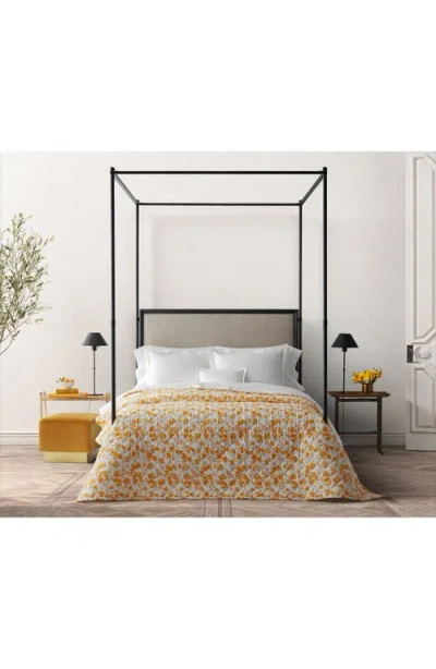 Matouk Alexandra 500 Thread Count Egyptian Cotton Percale Quilt