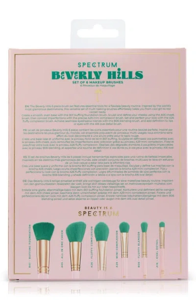 Spectrum Beverly Hills 6-piece Makeup Brush Set $30 Value