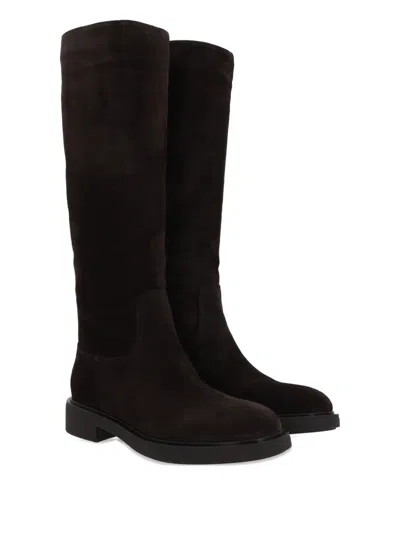 Gianvito Rossi Dark Brown Suede Ascott Boots In Black